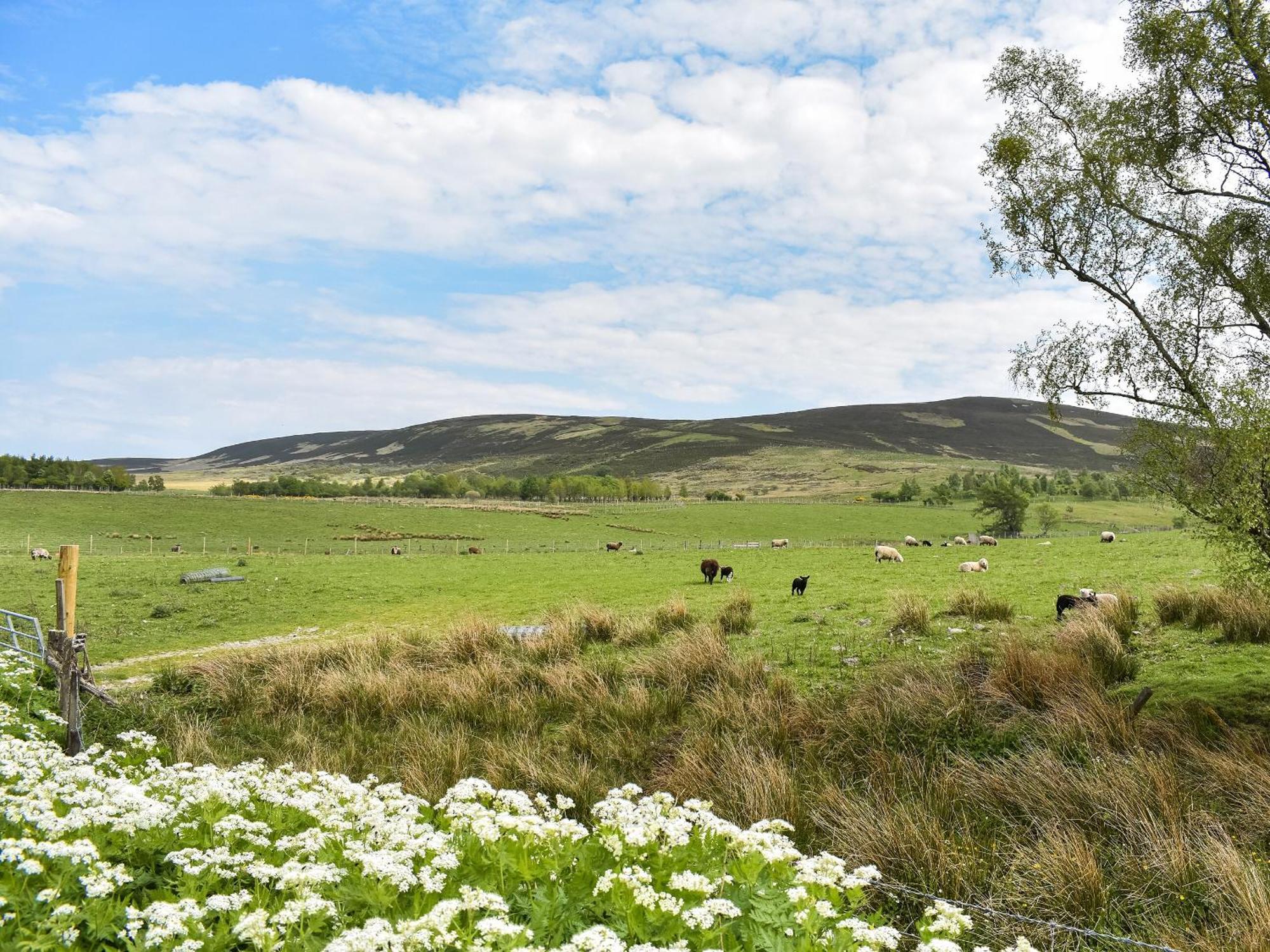 Mid Bellandy Villa Ballindalloch Luaran gambar